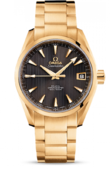 Omega Seamaster 231.50.39.21.06.002 Aqua terra 150m co-axial