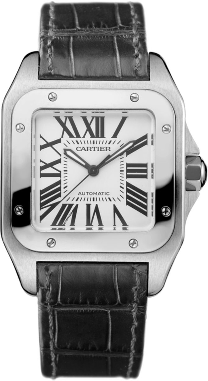 Cartier W20106X8 Santos De Cartier Steel