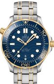 Omega Seamaster 210.20.42.20.03.001 Diver 300M Master Co-Axial 42 