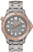 Omega Seamaster 210.60.42.20.99.001 Diver 300M Master Co-Axial 42 