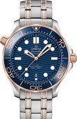 Omega Seamaster 210.20.42.20.03.002 Diver 300M Master Co-Axial 42 