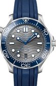 Omega Seamaster 210.32.42.20.06.001 Diver 300M Master Co-Axial 42 