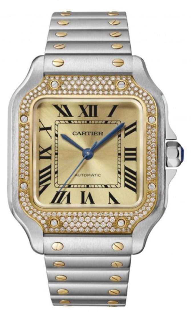 Cartier W3SA0007 Santos De Cartier Medium 35 mm