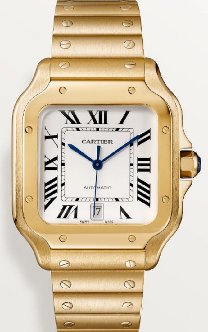 Cartier WGSA0029 Santos De Cartier Large Automatic