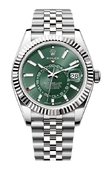 Rolex Часы Rolex Sky-Dweller 336934-0002 42 mm Steel and White Gold