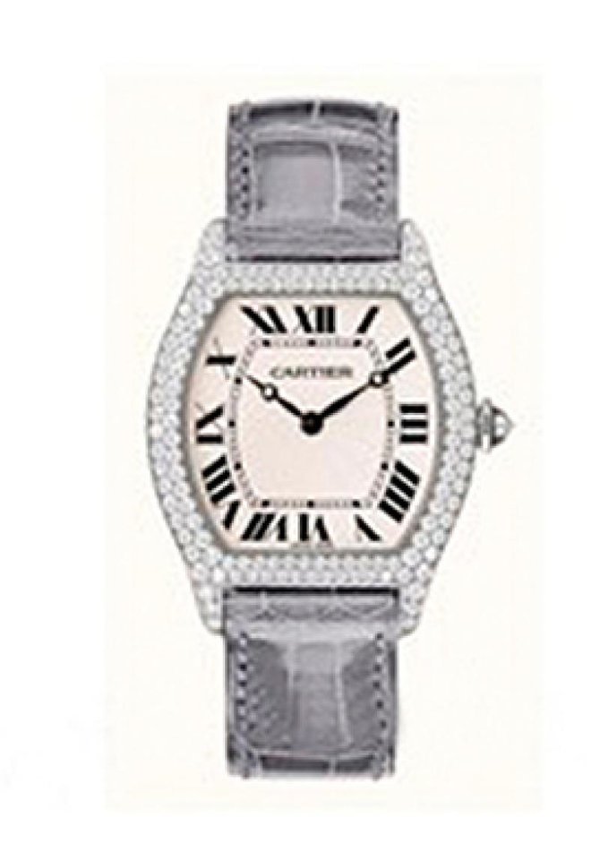 Cartier WA503851 Tortue Tortue Large - фото 1