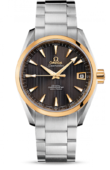 Omega Seamaster 231.20.39.21.06.004 Aqua terra 150m co-axial
